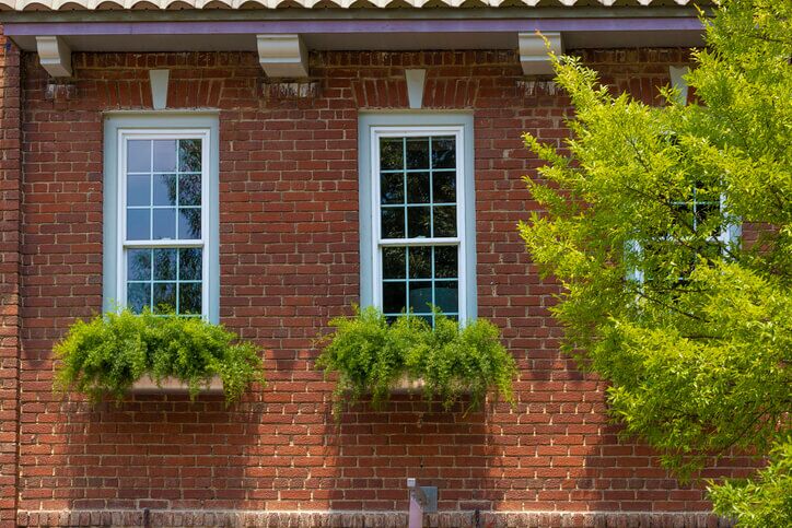 Red brick wall with two windows and green plants below each.