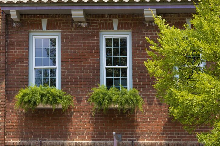 Red brick wall with two windows and green plants below each.