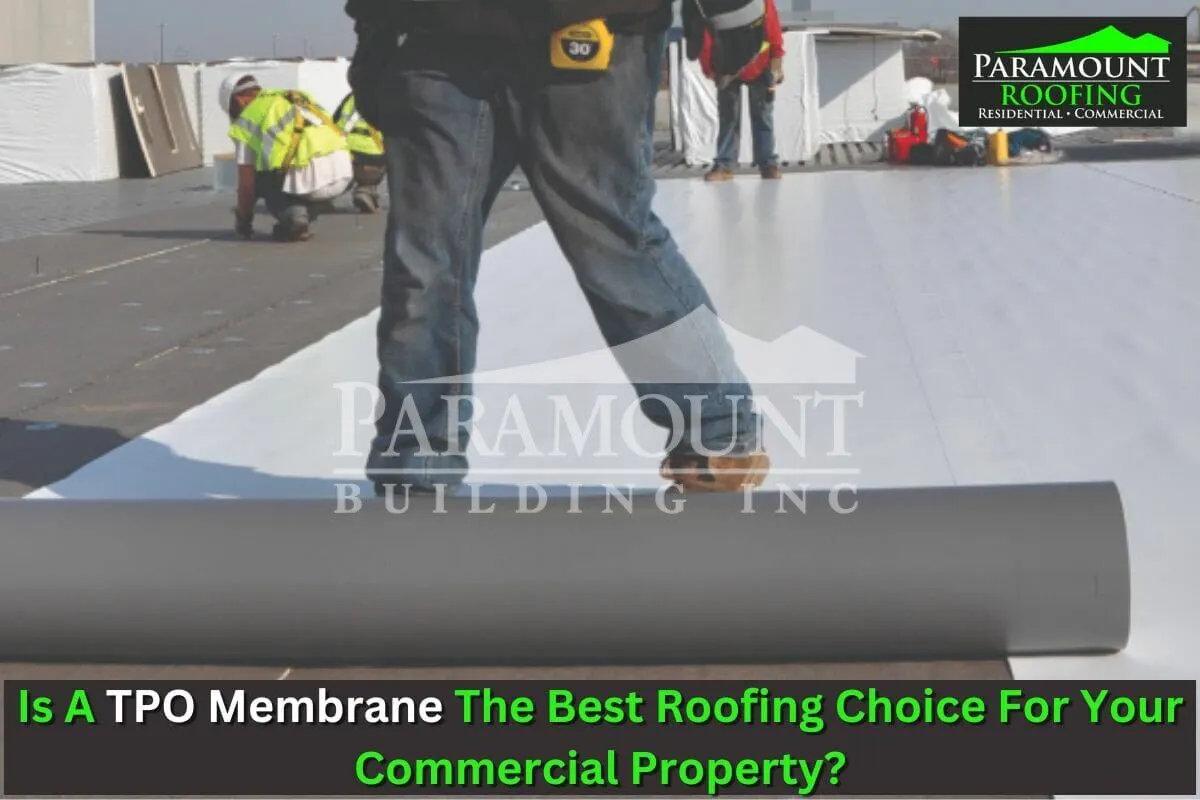 TPO Membrane