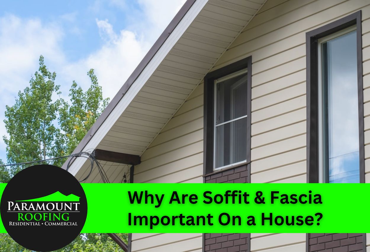 Why Are Soffit & Fascia Important On a House