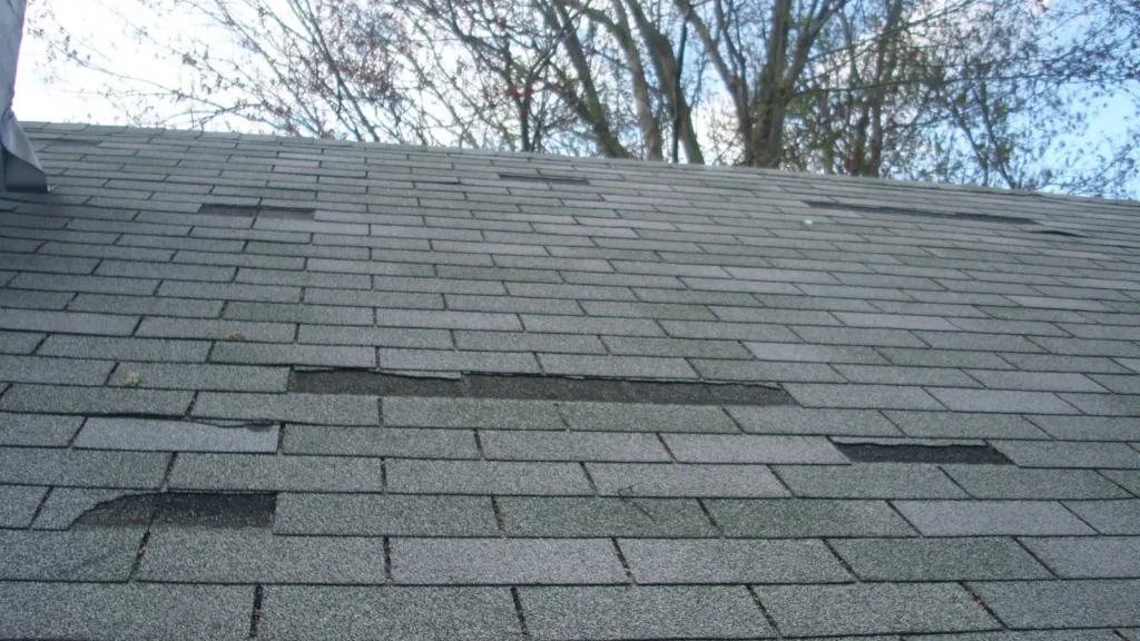 4 Things You Wish You Knew About Free Roof Inspections free roof inspection Paramount Roofing