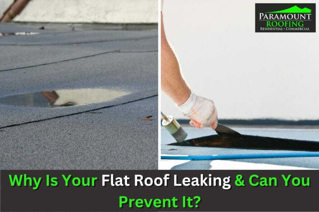 flat roof leak