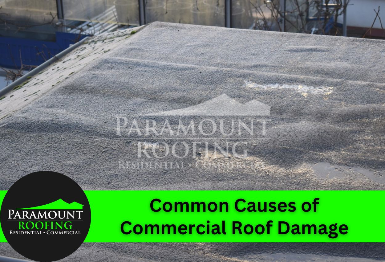 Top Common Causes of Commercial Roof Damage: Prevention and Care Tips