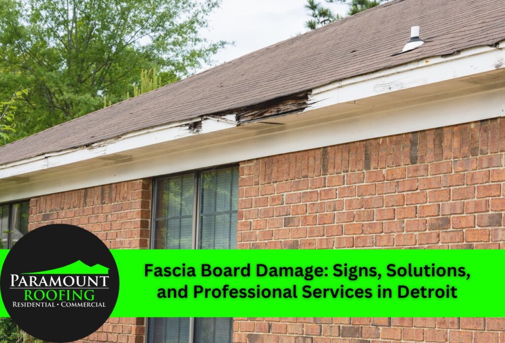 Fascia Board Damage: Signs, Solutions, and Professional Services in Detroit