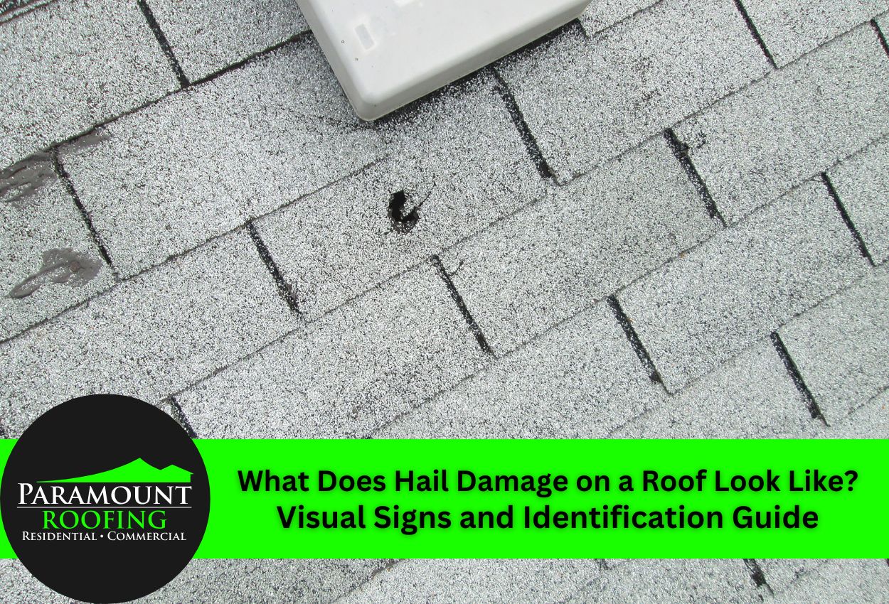 Close-up image of hail damage on asphalt roof shingles.