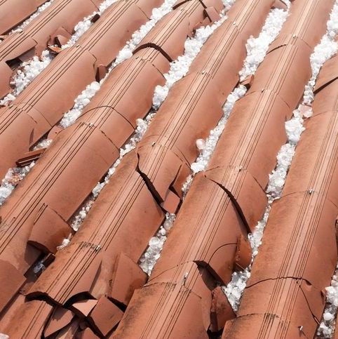 Damaged clay roof tiles with hailstones lodged between them.