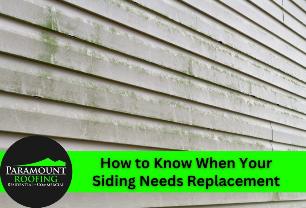 Moldy and worn exterior siding indicating need for replacement